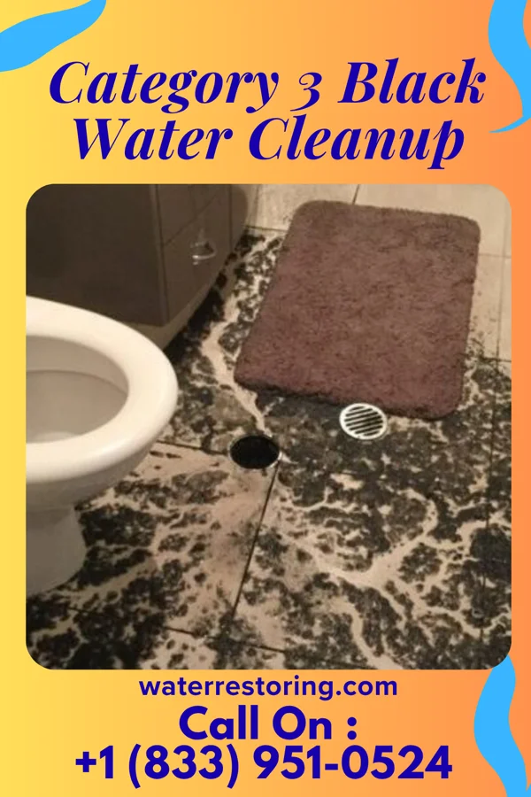 Category 3 Black Water Cleanup in Grandview, OH