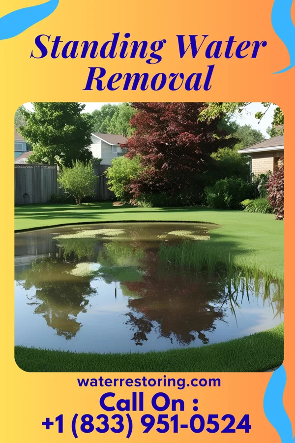 Standing Water Removal in Grandview, OH